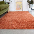 Soft Everyday Terracotta Shaggy Rug