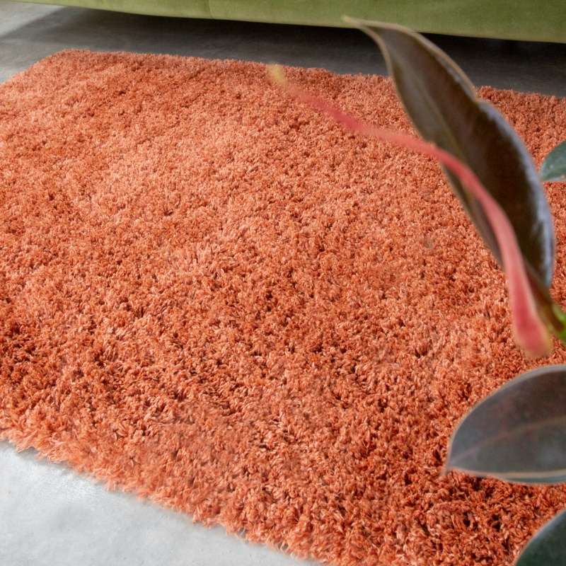 Soft Everyday Terracotta Shaggy Rug
