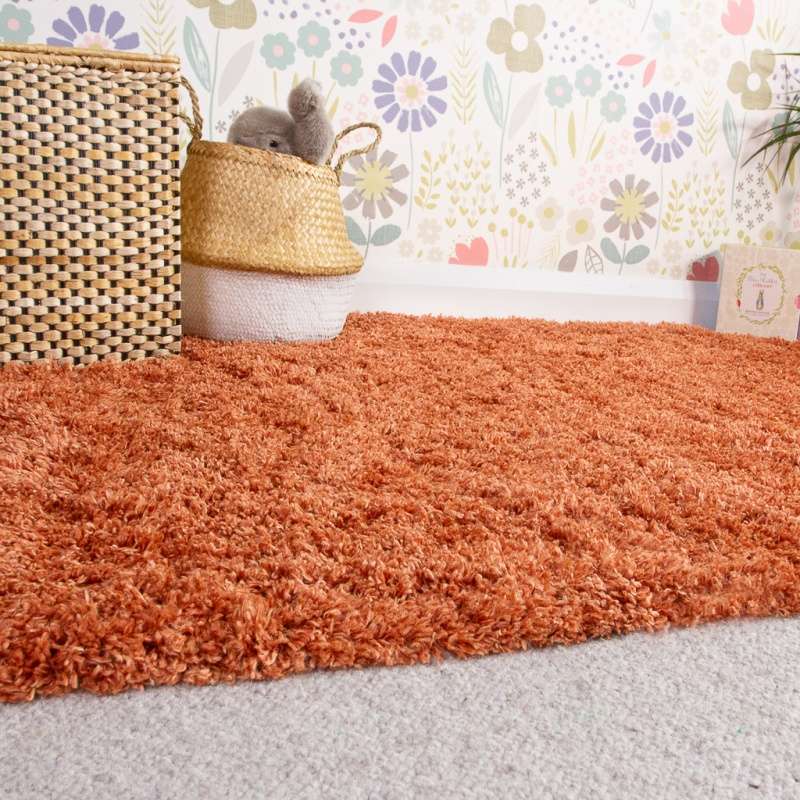 Soft Everyday Terracotta Shaggy Rug