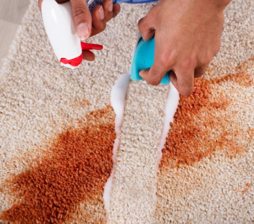 Cybergold Rug Stain Remover Spray