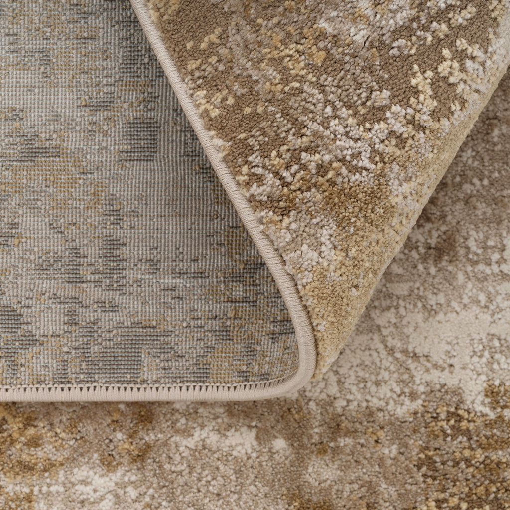 Distressed Beige Living Room Area Rug - Monroe