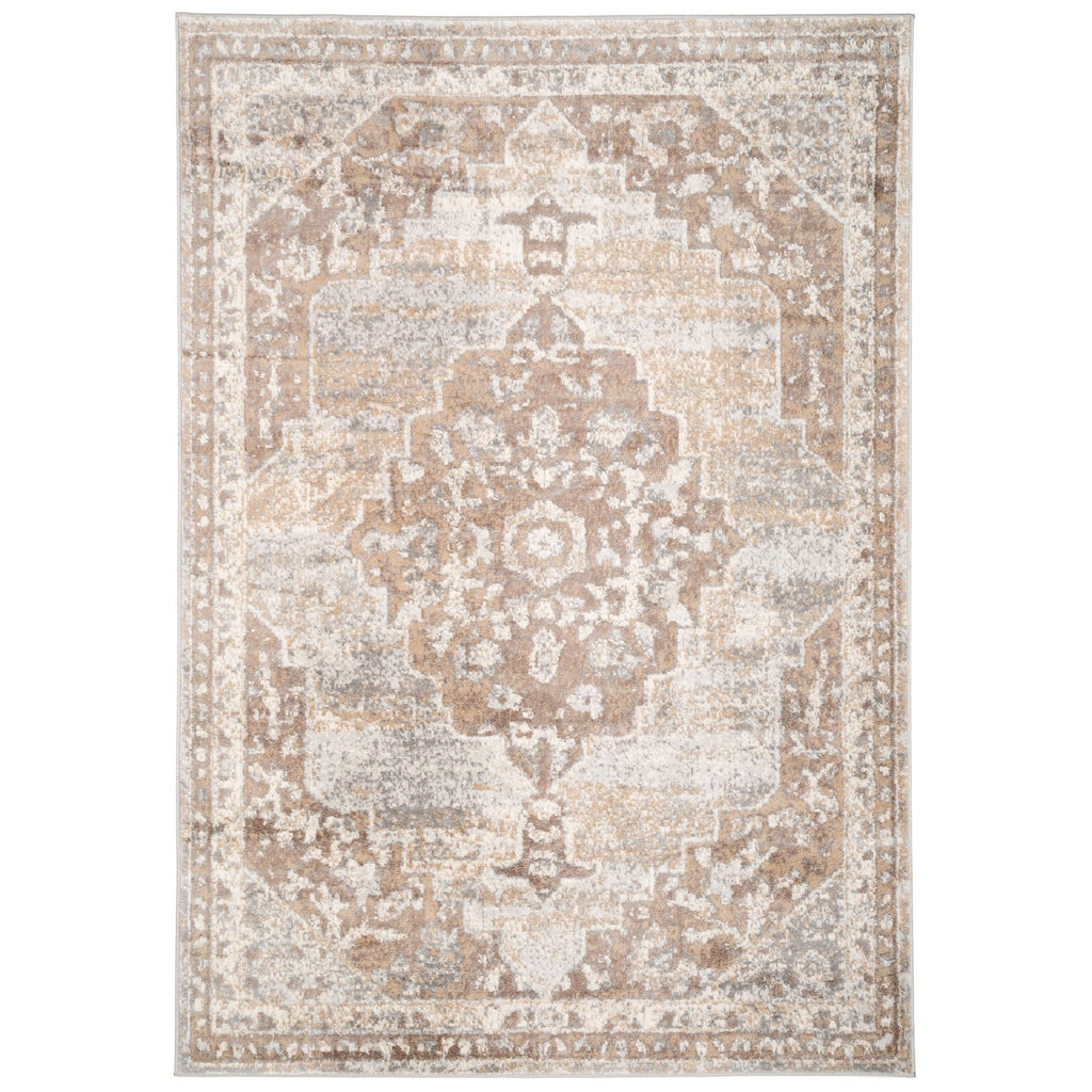 Traditional Distressed Chic Beige Area Rug