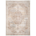Traditional Distressed Chic Beige Area Rug