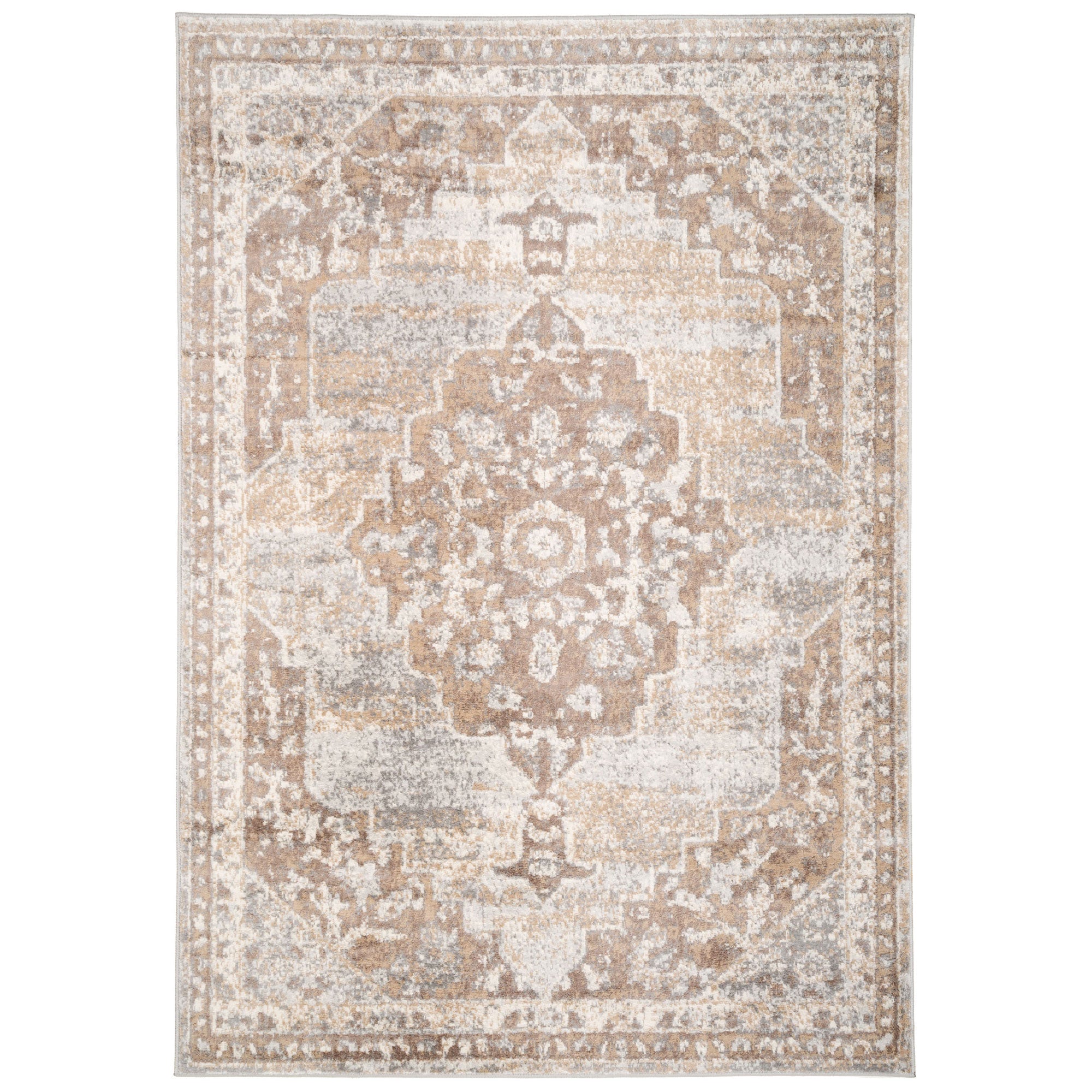 Traditional Distressed Chic Beige Area Rug