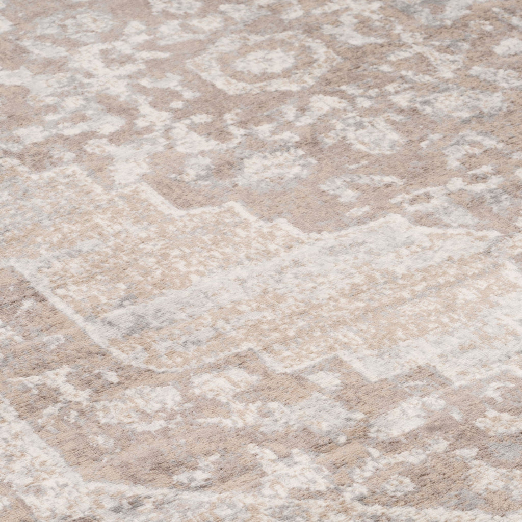 Traditional Distressed Chic Beige Area Rug