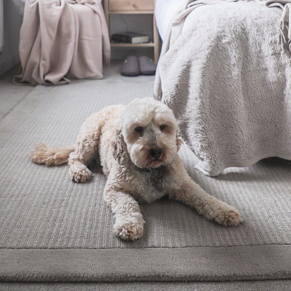 Grey Bordered Wool Rug - Olann Grey
