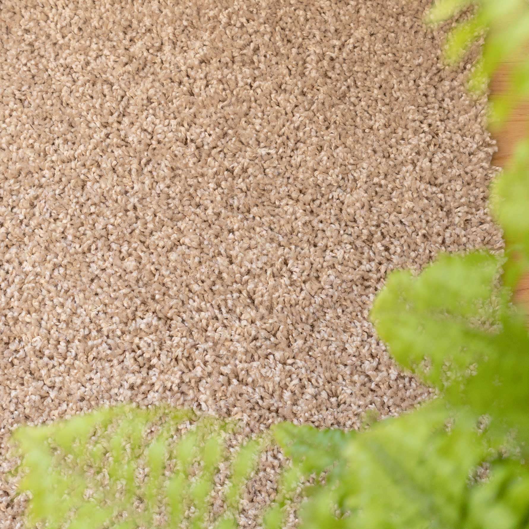 Oatmeal Shaggy Runner Rug