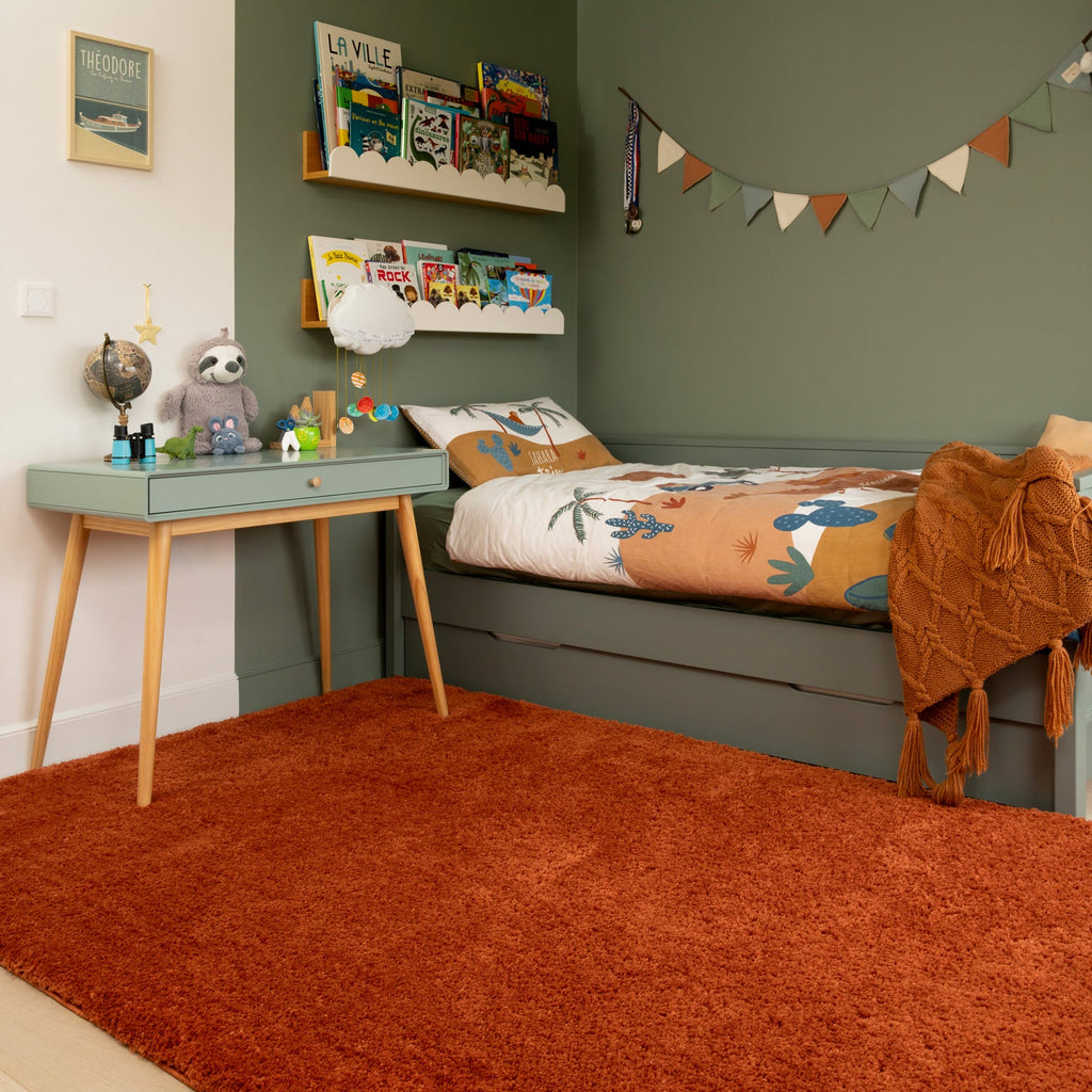 Premium Washable Terracotta Shaggy Rug
